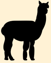 Scroll to top icon